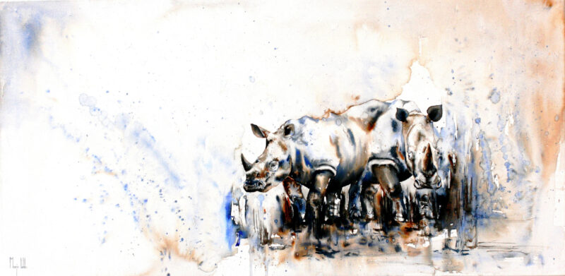 Mother rhino with calf