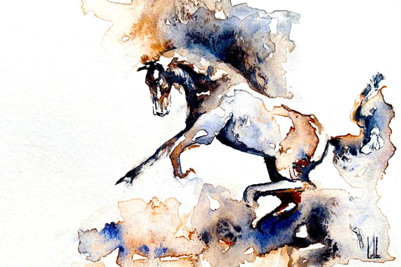 Whimsical I