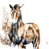 Noblesse