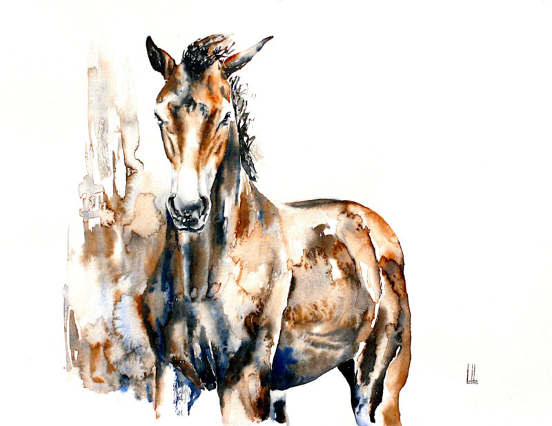 Noblesse