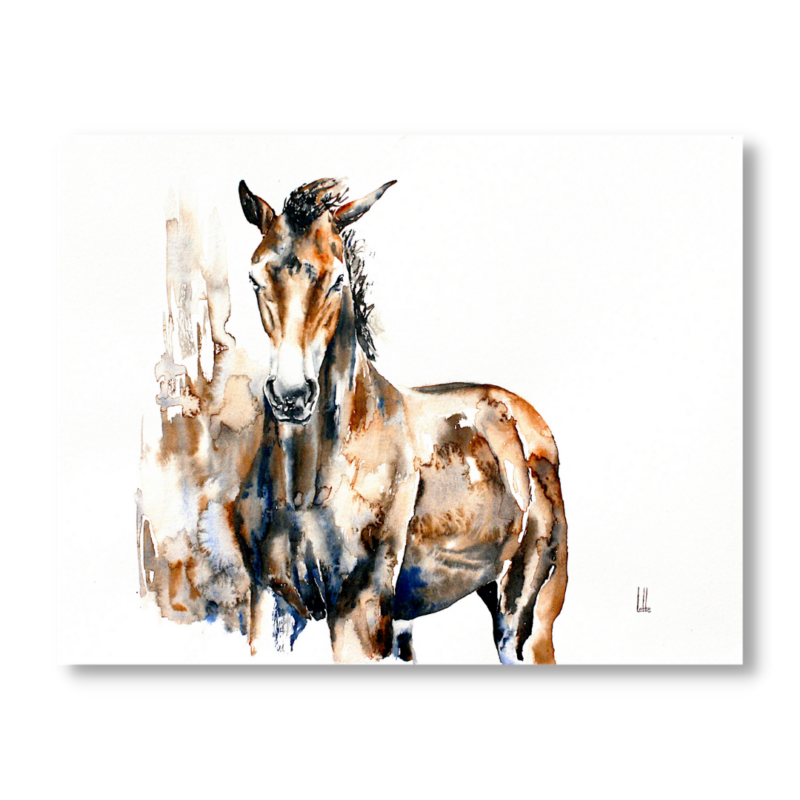 Noblesse