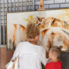 kunstexpositie op de Paardenkamp door Linda Planken fotografie-9831 Feed me sunlight