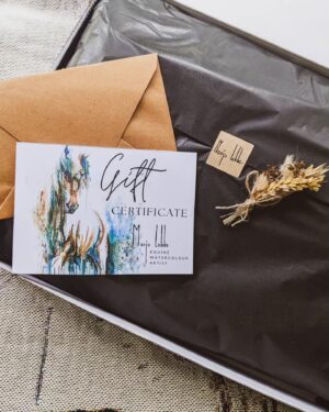 Phyical Gift Card box