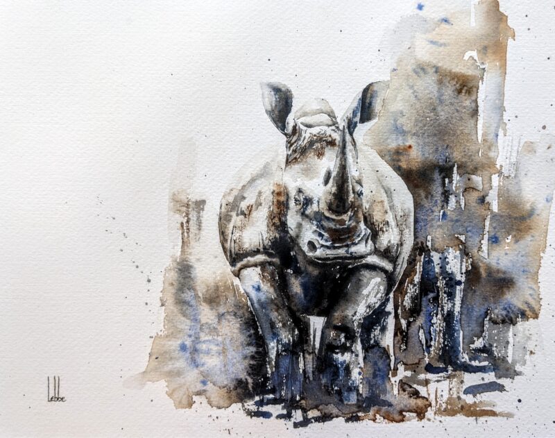 Rhino