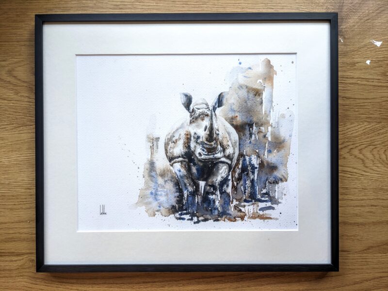 Rhino