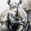 Rhino