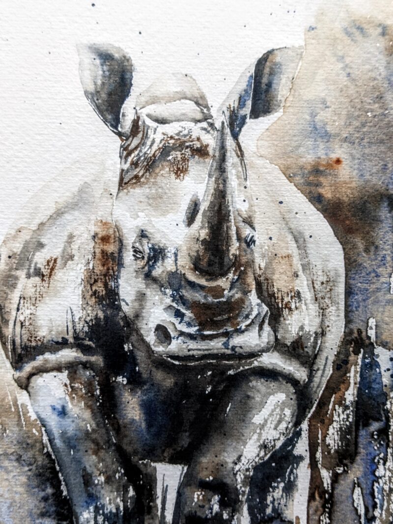 Rhino