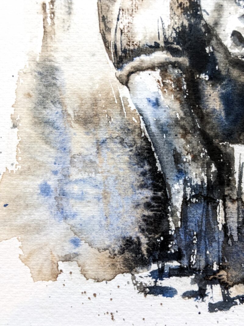 Rhino