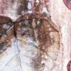 detail mixed media art