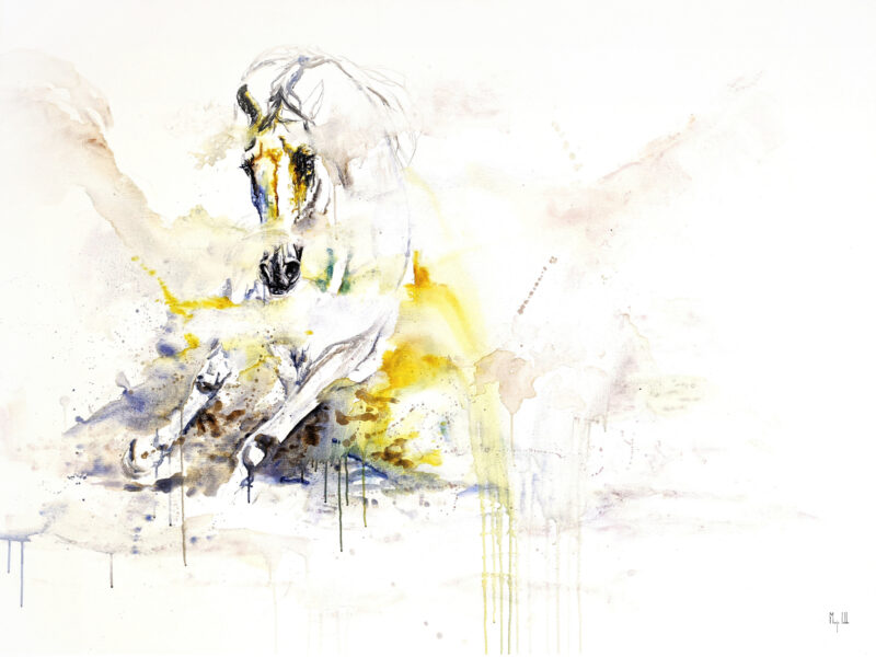 Fine art print 'Snow'
