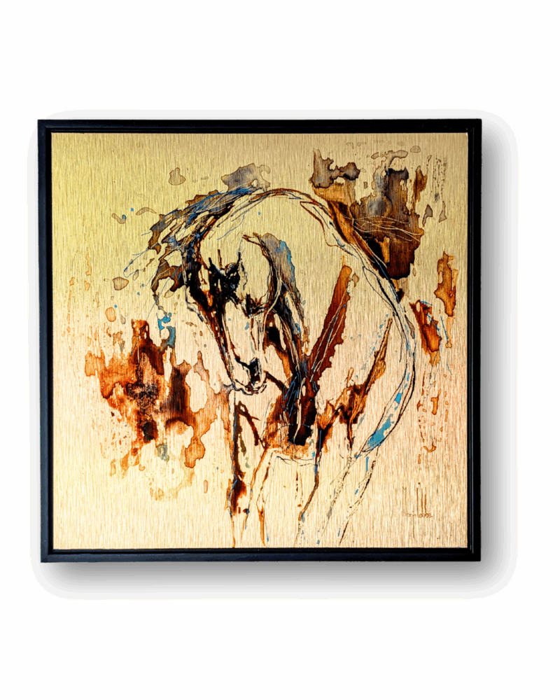 Anima Ferox - serie