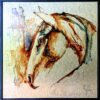 Anima Ferox - serie