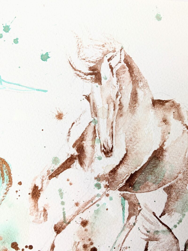 Equus et Avis