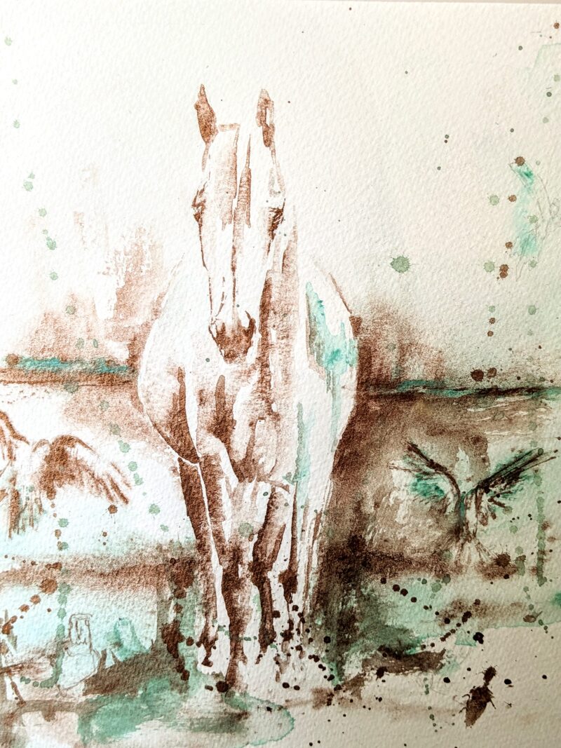 Equus et Avis