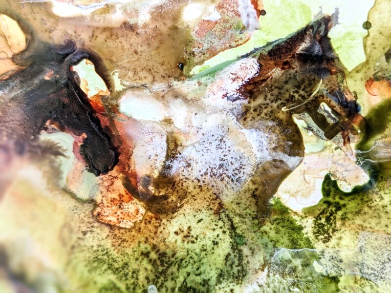 Viridis Feritas